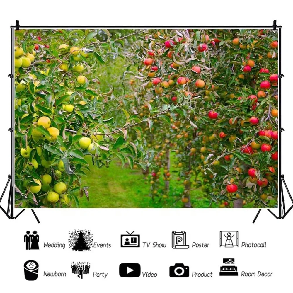 Apple garden vinyl backdrop 7x5 ft